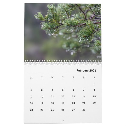 Estische veenkalender Eesti Rabad 2025 Kalender (Feb 2026)