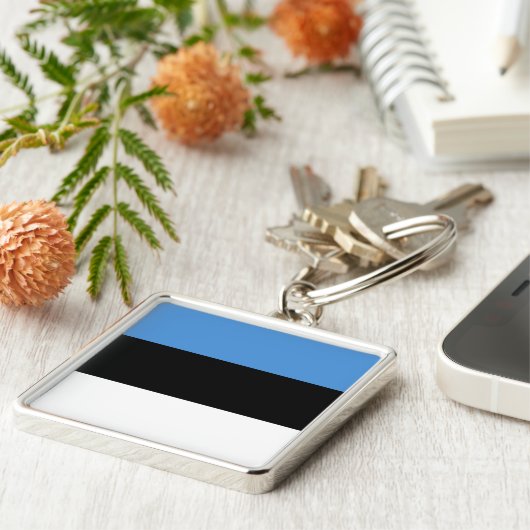 Estland Flag EE Sleutelhanger (Zijkant)