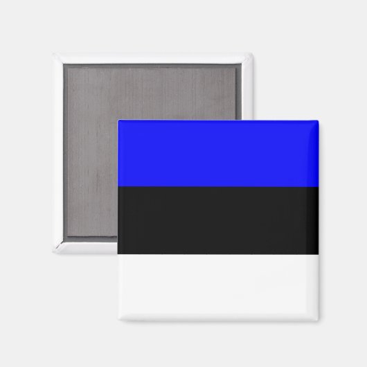 Estland Hoogwaardige vlag Magneet (Voorkant / Achterkant)