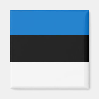 Estland Nationale Wereldvlag Magneet