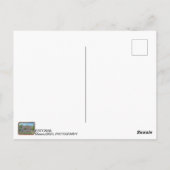 Estland, Viljandi ansichtkaart! Briefkaart (Achterkant)