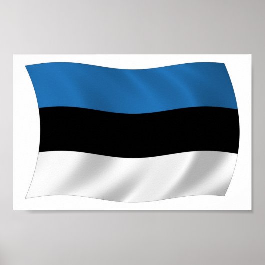 Estland Vlag Poster Print (Voorkant)