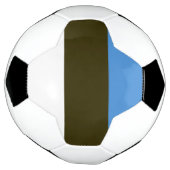 Estland Voetbal (Gedraaid)