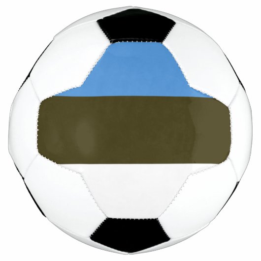 Estland Voetbal (Voorkant)