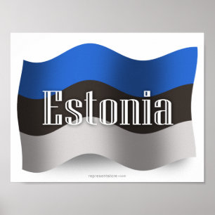 Estland Waving Flag Poster