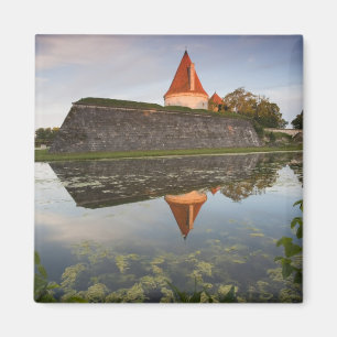 Estland, West-Estlandse eilanden, Saaremaa Magneet