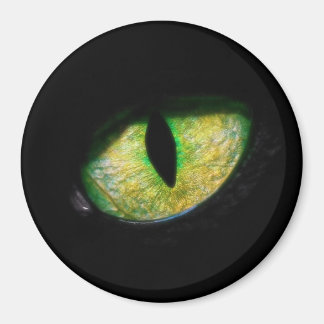 Estou de olho em você magneet