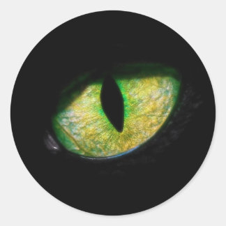 Estou de Olho em você Ronde Sticker