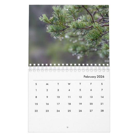 Ests Bogs Calendar Eesti Rabad Kalender (Feb 2026)