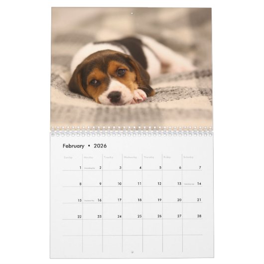 Estse hondenkalender Kalender (Feb 2026)