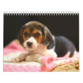  Estse hondenkalender Kalender (Hoes)