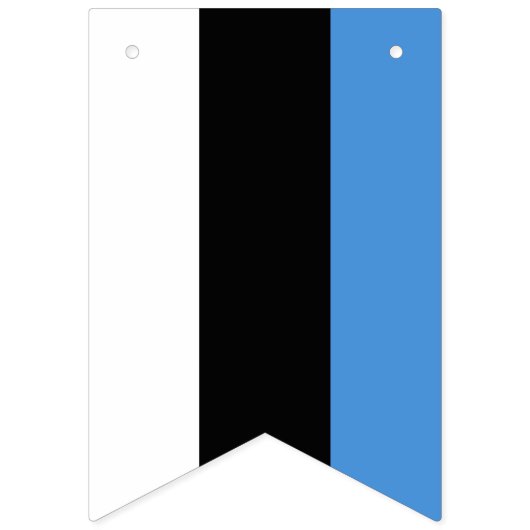Estse vlag en Estse banners (Eerste vlag)