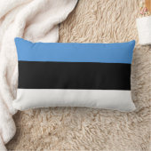 Estse vlag kussen (Deken)