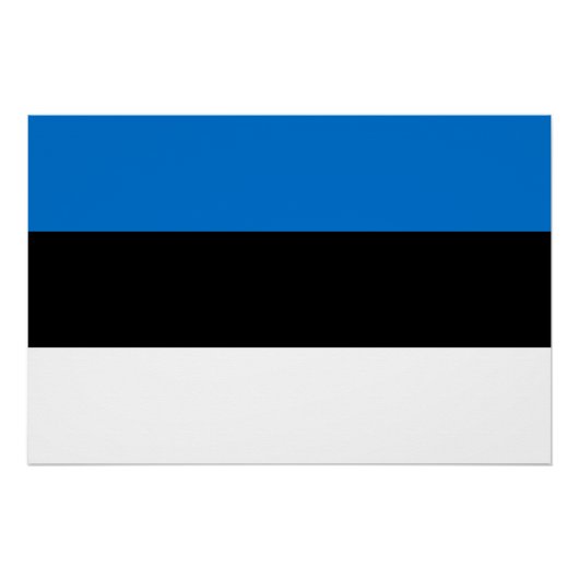 Estse vlag perfect poster (Voorkant)