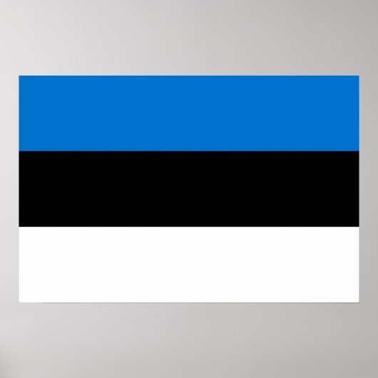 Estse vlag poster (Voorkant)