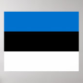 Estse vlag poster (Voorkant)