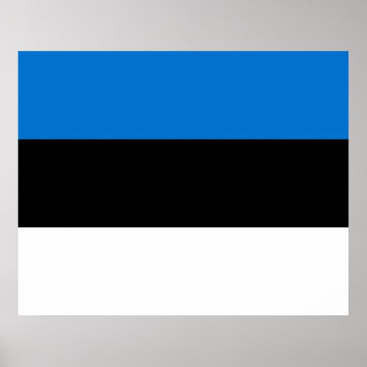 Estse vlag poster (Voorkant)