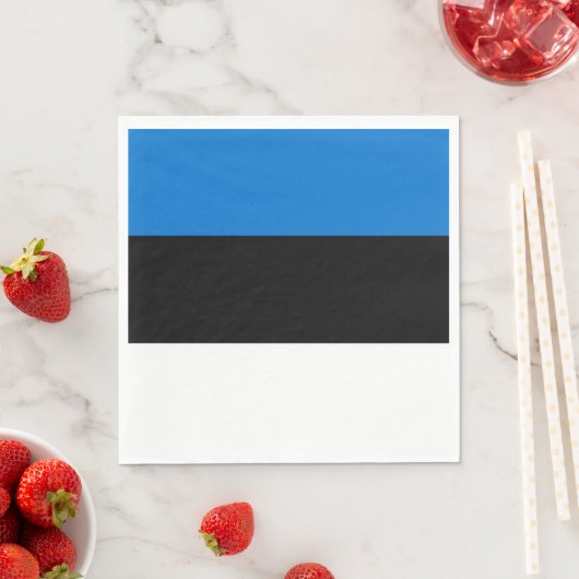 Estse vlag servet (Insitu)