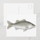 estuariumbaars briefkaart (Voorkant / Achterkant)