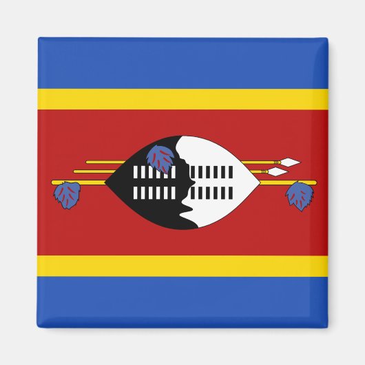 Eswatini Flag Magnet (Voorkant)