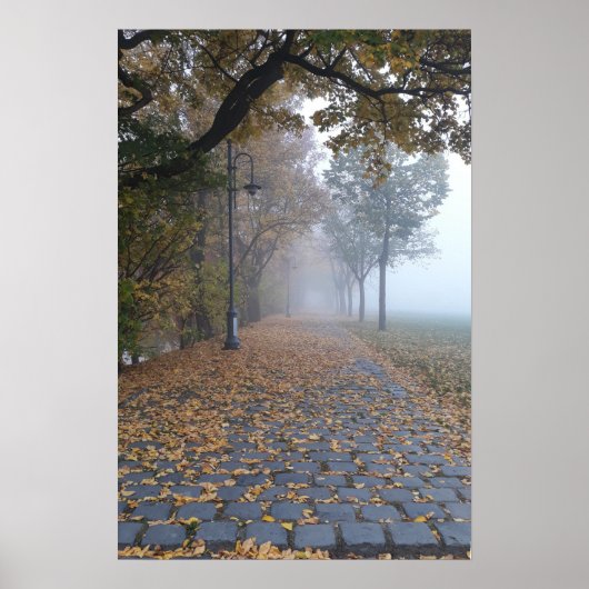 Esztergom Hongarije Poster (Voorkant)