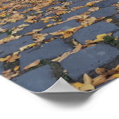 Esztergom Hungary Poster (Hoek)