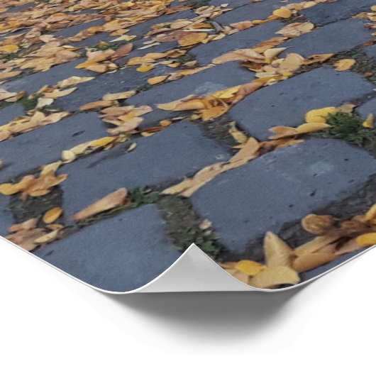 Esztergom Hungary Poster (Hoek)