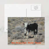 ET het Briefkaart van Nevada van het Vee van de (Voorkant / Achterkant)