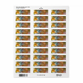 Eta Carinae Nebula in Brown & Copper, adres ZGOS Etiket (Full Sheet)