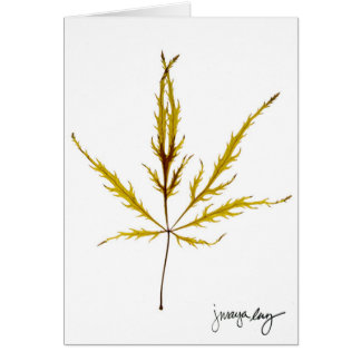 "Etched Leaf" door J. Maya Luz