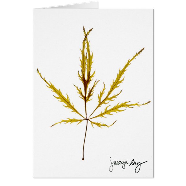 "Etched Leaf" door J. Maya Luz (Voorkant)