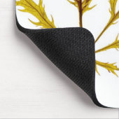 "Etched Leaf" door J. Maya Luz Muismat (Hoek)