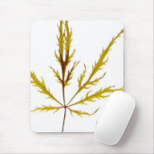 "Etched Leaf" door J. Maya Luz Muismat (Met muis)