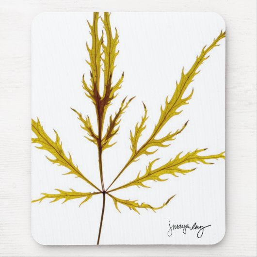 "Etched Leaf" door J. Maya Luz Muismat (Voorkant)
