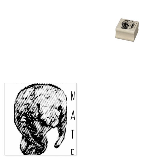 Etched Manatee Rubberstempel (Gestempeld)