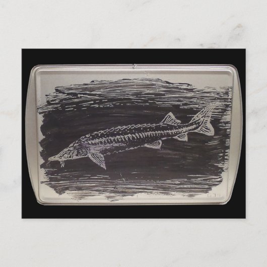 Etching - Sterlet Sturgeon Briefkaart (Voorkant)