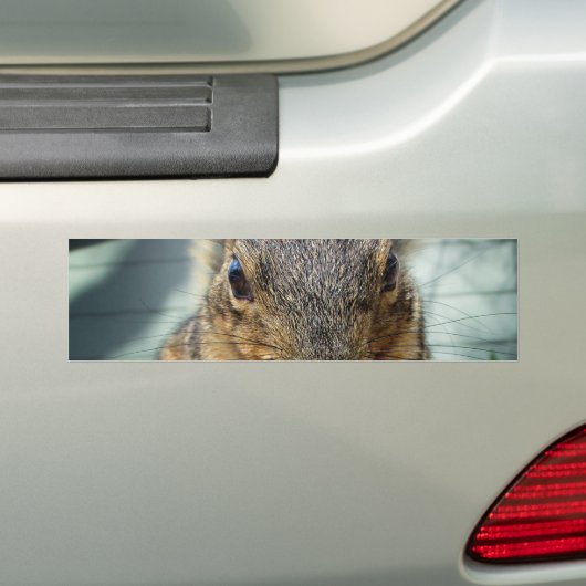 Eten 1 eekhoorn bumpersticker (Op auto)