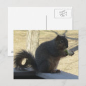 Eten een appel briefkaart (Voorkant / Achterkant)