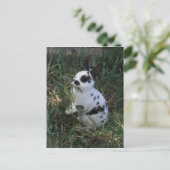 Eten Greens Briefkaart (Staand voorkant)