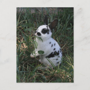 Eten Greens Briefkaart