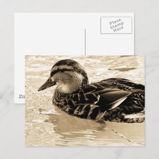 Eten in Sepia Briefkaart (Voorkant / Achterkant)