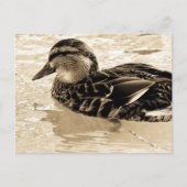 Eten in Sepia Briefkaart (Voorkant)