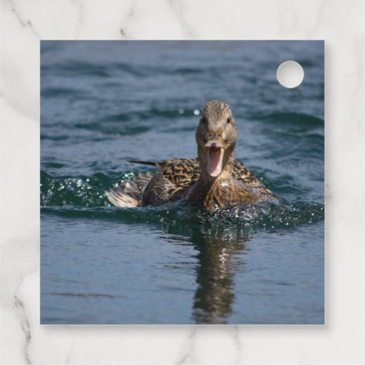 Eten met open bek bedankjes labels (Achterkant)