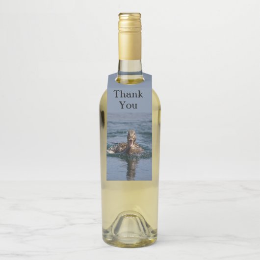 Eten met open bek flessenhanger (Op fles)