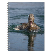 Eten met open bek notitieboek (Voorkant)