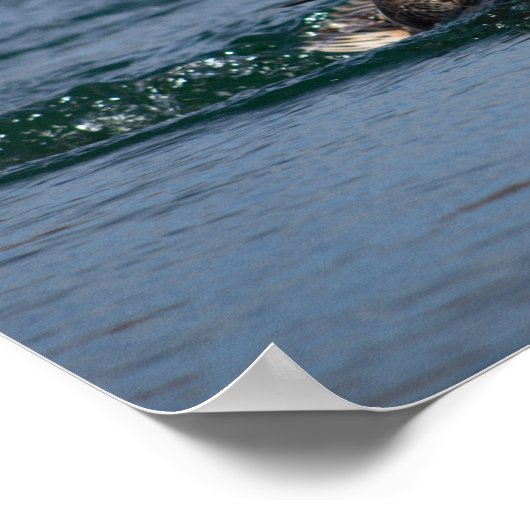 Eten met open bek poster (Hoek)