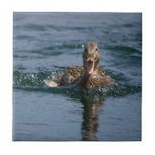 Eten met open bek tegeltje (Voorkant)