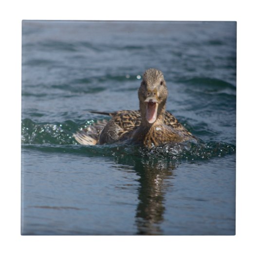 Eten met open bek tegeltje (Voorkant)