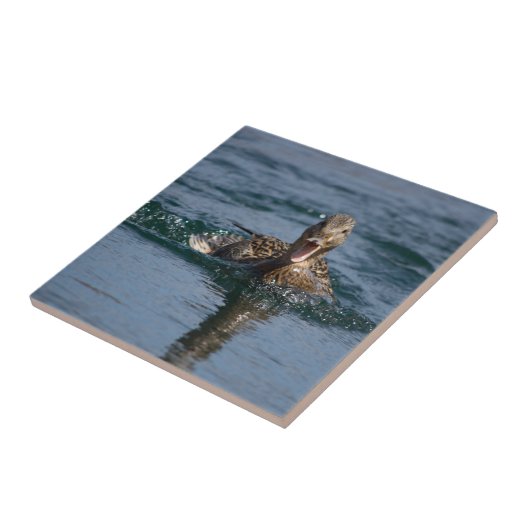 Eten met open bek tegeltje (Zijkant)