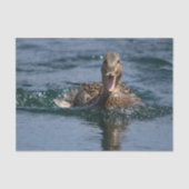 Eten met open bek tissuepapier (Voorkant)